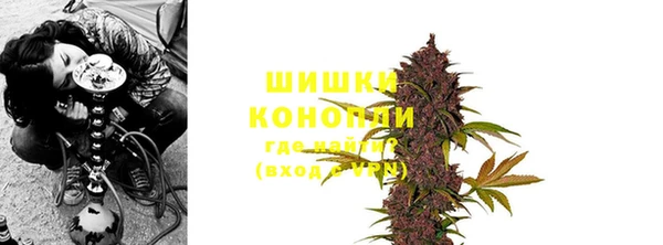 амф Вязьма