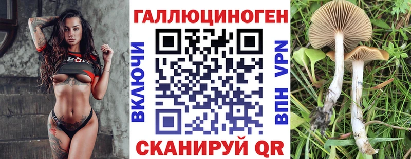 Галлюциногенные грибы мицелий  нарко площадка как зайти  Дзержинск 
