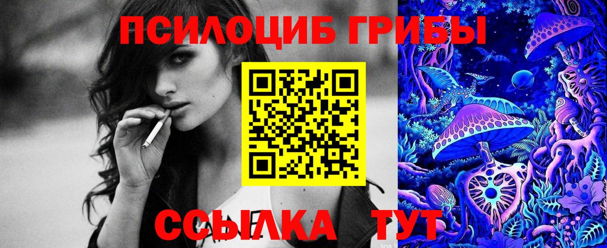 Псилоцибиновые грибы GOLDEN TEACHER  Дзержинск 