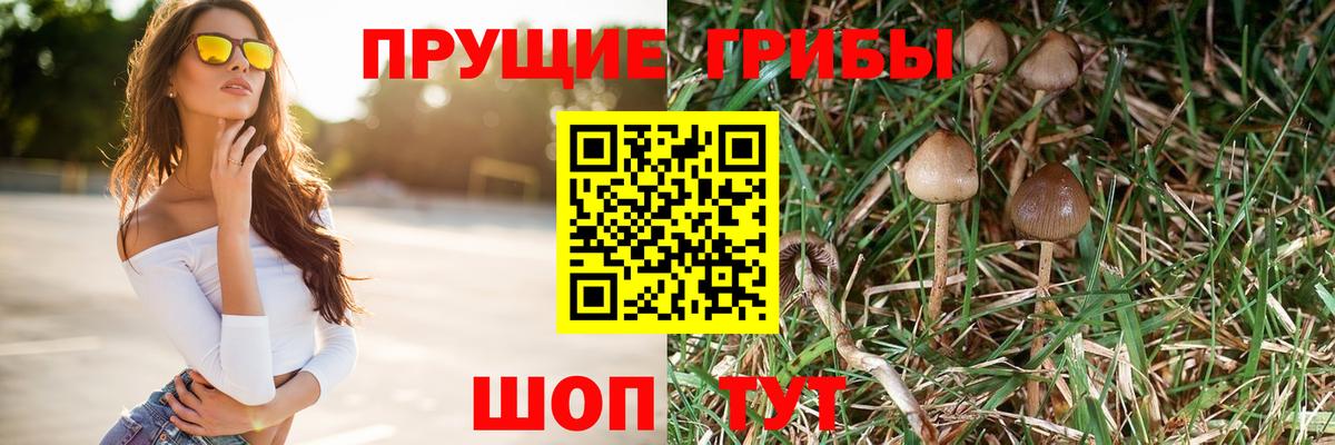 Псилоцибиновые грибы Cubensis  Вход с VPN  Дзержинск 