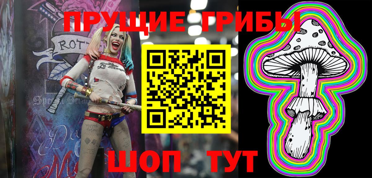 Псилоцибиновые грибы Psilocybe Дзержинск